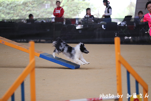 170527-1.jpg