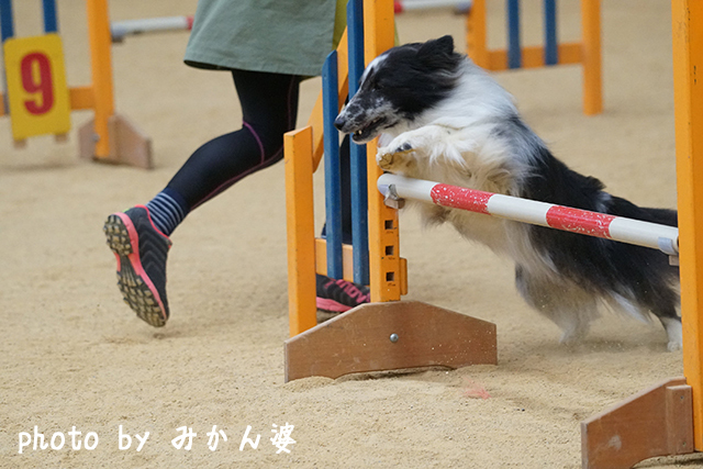170528-2.jpg