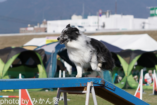 180311-2.jpg