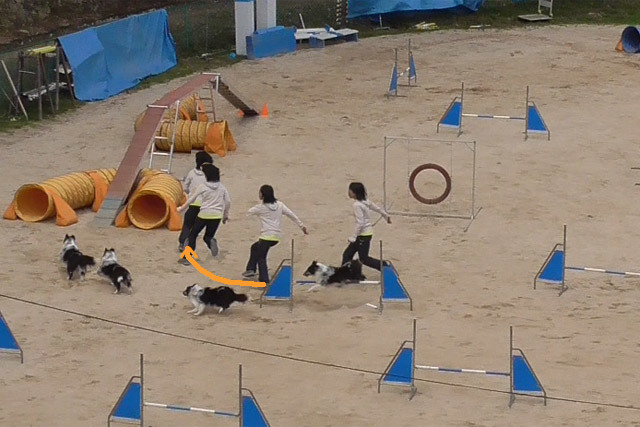 20150412-1.jpg