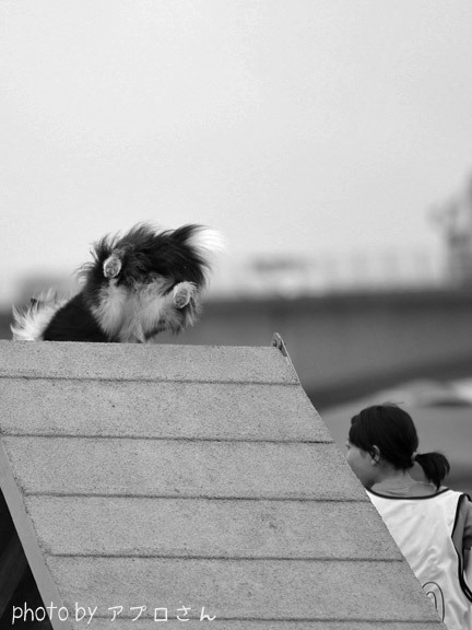 20150516-3.jpg
