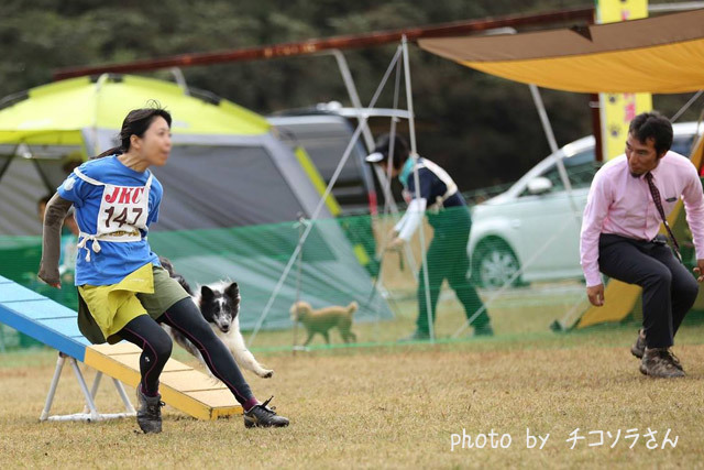 20151115-1.jpg